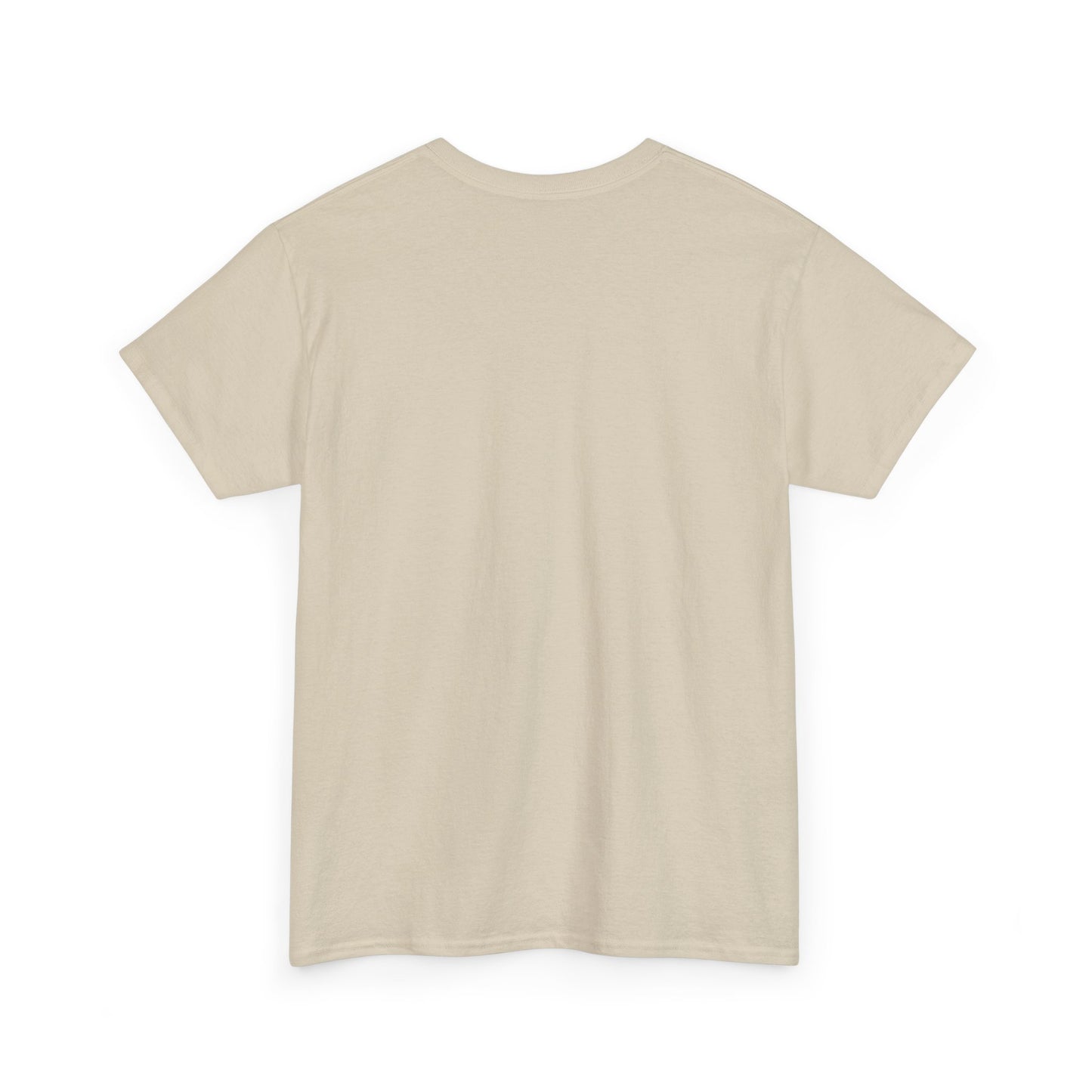 R2V2Q “Renew & Rebuild” Unisex Heavy Cotton Tee